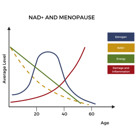 NAD+ and Menopause